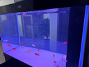 漢霸超白玻璃魚(yú)缸 生態(tài)底濾循環(huán)系統(tǒng) 魚(yú)缸客廳 家用智能懶人 水族箱 黑+黑 靠墻款1.8米長(zhǎng)X40cm寬X75cm+80cm高 曬單實(shí)拍圖