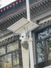 太陽能監(jiān)控供電系統(tǒng)戶外光伏發(fā)電板整套12V充電板4G監(jiān)控太陽能 80W60A套裝（小球4天） 曬單實拍圖