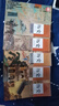 新華書店官方正版 人教版高中歷史教材全套5本 新版學(xué)生用書必修上下+歷史選擇性必修123套裝高一二三普通高中教科書教材歷史課本 人民教育出版社高考用書 高中歷史全套5本 曬單實(shí)拍圖