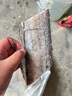 果匯堂帶魚段舟山小眼帶魚新鮮海捕東海刀魚特大帶魚段中段 5斤 中大號 中段 曬單實拍圖