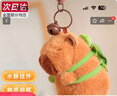 朗程卡皮巴拉掛件毛絨玩偶書(shū)包掛件背包鑰匙扣生日禮物開(kāi)學(xué)禮物 卡皮巴拉+烏龜背包【掛件】 默認尺寸 曬單實(shí)拍圖