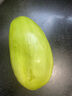 東北鞍山特產(chǎn)綠茄子青茄子甜茄子無籽茄子可生吃農(nóng)家自種現(xiàn)摘現(xiàn)發(fā) 凈重4.8- 5.2斤 左右綠茄子 東北農(nóng)家綠茄子上午摘下午發(fā) 曬單實(shí)拍圖
