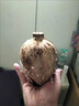 武后鄉(xiāng)酒糟埋藏壇裝酒醬香酒53度糧食酒好喝白酒整箱酒廠直銷(xiāo)酒質(zhì)保障 53度 500mL 6壇 整箱裝-木箱款 曬單實(shí)拍圖