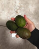 南步云南哈斯牛油果 孟連國(guó)產(chǎn)即食鱷梨巨無(wú)霸寶寶新鮮健康輕食水果 牛油果 8個(gè)裝 特大果【160-200g】 曬單實(shí)拍圖