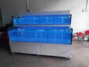 小石頭水族館火鍋店海鮮池飯店水產(chǎn)超市魚缸海鮮池定制商超魚缸制冷一體機 咨詢客服尺寸配置 曬單實拍圖