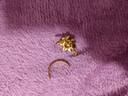 中國黃金（CHINA GOLD）黃金戒指足金牡丹花戒指花開(kāi)富貴戒指女戒送老婆女友生日禮物 13圈號/約1g 曬單實(shí)拍圖