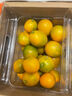 桃西村 四川大涼山德昌脆蜜金桔三代金桔新鮮水果孕婦甜蜜純甜無(wú)籽大果 涼山脆蜜金桔 1斤 中果 18-25克 曬單實(shí)拍圖