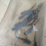 棠仲承南方大口鯰魚苗活體15厘米埃及塘鲺塘角魚清理雜魚淡水冷水養(yǎng)殖食用魚可越冬耐寒特大二須胡子鯰魚苗 【可過冬】大口鯰 12-14公分10條送1條 曬單實(shí)拍圖