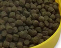 喜瑞德國sera喜瑞魚池錦鯉魚飼料增體艷小型中大型錦鯉顆粒魚糧不渾水 幼小錦鯉基礎(chǔ)飼料1L/300g 曬單實拍圖