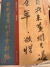 經(jīng)典碑帖放大本——蘇軾書黃州寒食詩帖 曬單實(shí)拍圖