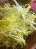 綠食者 新鮮黃心苦菊500g 苦葉生菜苦細葉苦苣狗牙生菜西餐沙拉蔬菜食材 曬單實拍圖
