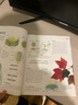 DK樹木大百科  植物圖文科普書 高清植物照片 自然 科普 6歲+ 北京科學(xué)技術(shù) 曬單實拍圖