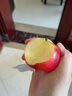 優(yōu)味集蘋(píng)果【JD順豐速發(fā)】新西蘭泰勒小蘋(píng)果進(jìn)口孕婦水果節日可選禮盒 2枚裝（商超級金果嘗鮮） 商超同款（400-500g/g罐） 曬單實(shí)拍圖