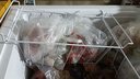 冰柜內置物架海爾冷柜吊籃筐子食品筐部網(wǎng)籃分隔食品掛筐架子通用 長(cháng)47寬22高20【cm】加厚款 高承 曬單實(shí)拍圖