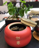 高檔茶葉罐陶瓷密封防潮便攜小號茶罐家用會(huì )客茶葉儲存罐事事如意 柿柿如意茶葉罐·朱漆釉（禮盒為白色） 曬單實(shí)拍圖