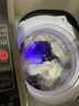 揚子全自動(dòng)洗衣機家用小型宿舍租房 一鍵洗脫智能遙控 藍光洗護大容量波輪洗脫一體機 20KG強勁風(fēng)干大容量防纏繞藍光 曬單實(shí)拍圖