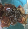 揚(yáng)子商用大功率鋸骨機(jī)強(qiáng)勁切骨機(jī)全自動(dòng)切割牛羊大骨頭魚(yú)豬蹄排骨凍肉機(jī)家用電動(dòng)鋸肉機(jī)剁骨機(jī)切肉機(jī) 250型碳鋼+6鋸條+大功率2200W【冷鮮兩用】 曬單實(shí)拍圖