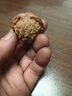 老農(nóng)哥小眾賭青皮獅子頭官帽雞心虎頭文玩核桃新果下樹帶皮自開文玩核桃 老款悶尖磨盤獅子頭 50-52mm一對(duì) 曬單實(shí)拍圖
