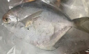 【新鮮現(xiàn)捕】高檔舟山年貨海鮮禮盒寧波海鮮大禮包非冷凍春節(jié)送禮 3888型12種海鮮9750g 曬單實(shí)拍圖