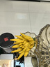 良知農哥新鮮金華佛手 香櫞佛手柑觀(guān)賞供佛清香佛手果 1個(gè)大果約300g丨無(wú)枝黃果 曬單實(shí)拍圖