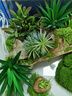BARBAROUS GROWTH玻璃爬缸蜥蜴蛇甲蟲烏龜陸龜爬寵爬蟲角蛙飼養(yǎng)箱盒專用缸爬寵飼養(yǎng) BT-10(50*30*25)【磁吸不跑蛇】 曬單實拍圖