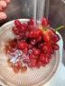 京配嘉果克倫生無籽紅提 新鮮葡萄水果無籽提子整箱禮盒裝紅提子 1斤 品質(zhì)裝 曬單實拍圖