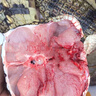 隆港匯 新鮮現殺 帶皮鱷魚(yú) 人工養殖 食用鱷魚(yú) 廣西生鮮鱷魚(yú)肉 新鮮鱷魚(yú)尾巴肉5斤裝 曬單實(shí)拍圖
