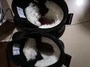 目擊者冬季迷彩防寒靴皮毛一體羊毛棉靴男加絨加厚雪地靴防水東北大棉鞋 黑色-高幫 41 (255mm) 曬單實拍圖