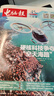 【2024年電腦報合訂本】電腦報報紙2025年/2024年單期報紙可選 數碼科技新聞IT報紙 電腦報報紙2025年9月8日第35期 曬單實(shí)拍圖