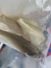 裸鯉魚苗體淡水養(yǎng)殖食用冷水觀賞魚活體裸斑魚無甲無磷鯉魚德國鏡鯉三道鱗小魚苗 10條7-9厘米裸鯉魚苗【多發(fā)10%防損】 曬單實拍圖