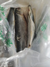 灣鈺蜜東北沙丁魚(yú)遼寧山東野生青魚(yú)海魚(yú)懶人之寶新鮮燒烤食材 凈重5斤共9-10條魚(yú)滿(mǎn)籽滿(mǎn)油） 曬單實(shí)拍圖