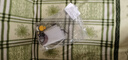 家用三倍伸縮軟管水管洗車高壓水搶抽拉式多功能水槍澆花魔術(shù)水管 合金款 7.5米新款伸縮水管(注水前2.5米) 曬單實(shí)拍圖