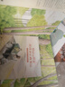 尋找維尼 曬單實(shí)拍圖
