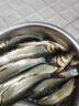 阿盧h12輕口鯽魚漂鯉魚漂高靈敏度細尾納米浮漂抗流水棗核型行程浮標 LPH12-17目加粗2目 3號一支(吃鉛約3.46g) 曬單實拍圖