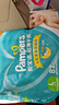 幫寶適（Pampers） 超薄干爽嬰幼兒綠幫紙尿褲男女通用尿不濕 L164片【9-14kg】 曬單實拍圖