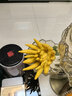 良知農哥新鮮金華佛手 香櫞佛手柑觀(guān)賞供佛清香佛手果 1個(gè)大果約300g丨無(wú)枝黃果 曬單實(shí)拍圖