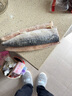 彈指鮮生挪威青花魚(yú)片 去頭去臟切片 冷凍大西洋鯖魚(yú) 【10片家庭裝】共1.1kg 曬單實(shí)拍圖