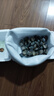 鮑魚鮮活特大冷凍鮑魚生鮮大鮑魚500g   燒烤火鍋原材料海鮮生鮮 中號鮑魚仔25~27粒裝 兩斤兩袋豪華裝[立減50] 98%選擇 曬單實拍圖