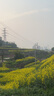 新越昌暉PET塑鋼手動(dòng)打包機(jī)手工打包帶捆扎機(jī)拉緊器16-19通用型收緊器DB-22011 曬單實(shí)拍圖