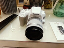 佳能/Canon 200D二代 200D 100D二手單反相機 新手入門半畫幅高清視頻家用旅游相機 200D II+18-55STM 白色套機 99新 曬單實拍圖