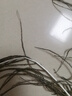 淘老板孔雀尾羽毛天然真孔雀羽毛翎尾大眼睛 客廳擺件花瓶插花裝飾品diy 90-100厘米：優(yōu)選大眼睛12支 曬單實(shí)拍圖