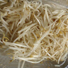 思蔬新鮮綠豆芽嫩芽清水豆芽新鮮嫩綠豆芽 1500g 曬單實(shí)拍圖