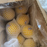 優(yōu)味集【JD速達(dá)】高端品種進(jìn)口黃檸檬新鮮薄皮香水鮮檸檬果泡水佳果 2500g凈重裝（40%選擇-性價(jià)比） 【A+級】商超精品單果120-150g 曬單實(shí)拍圖