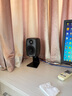 真力（Genelec） 真力 Genelec G1 8010 L型桌面支架 8010-320 黑色 單只 曬單實拍圖