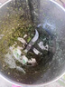沃農(nóng)賽德 碎菜機(jī)碎草機(jī)喂雞鴨鵝豬養(yǎng)殖家用電動(dòng)瓜草蔬菜切菜機(jī)打菜機(jī) 全包圍機(jī)艙-純銅電機(jī)1600W送刀片 曬單實(shí)拍圖