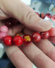 龍虎山五行手串補缺金木水火土紅瑪瑙手鏈轉(zhuǎn)運多寶磁場平衡男女士 男款五行手串 【補火】手圍20CM 曬單實拍圖