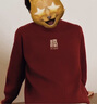 森馬（Semir）[商場同款]張仁華非遺聯(lián)名毛衫男2025春季針織衫情侶101125107210 曬單實拍圖