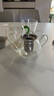 金灶（KAMJOVE） 耐熱玻璃迷你泡茶壺花茶壺飄逸杯茶道杯茶具小容量茶藝杯小茶壺 AM-718 250ml 曬單實拍圖