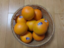 【JD&順豐】 新奇士橙子3107黑標臍橙  sunkist甜橙子 5斤 劃算裝【無禮盒】 曬單實拍圖