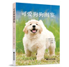 可愛(ài)狗狗圖鑒 曬單實(shí)拍圖